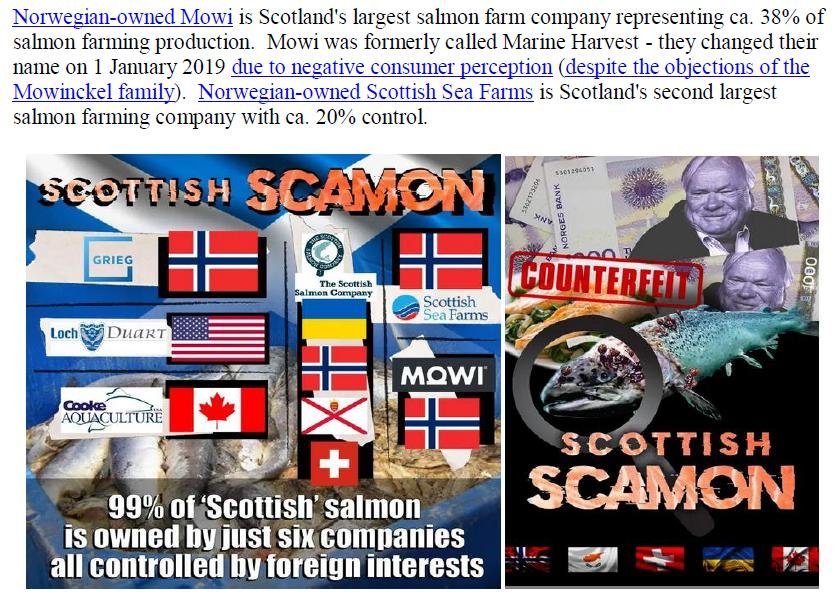 Media Backgrounder & Schedule for Swim for Salmon 31 Aug & 1 Sept 2019 #6