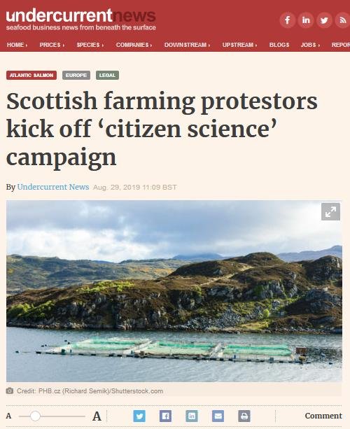 Undercurrent News 29 Aug 2019 #1