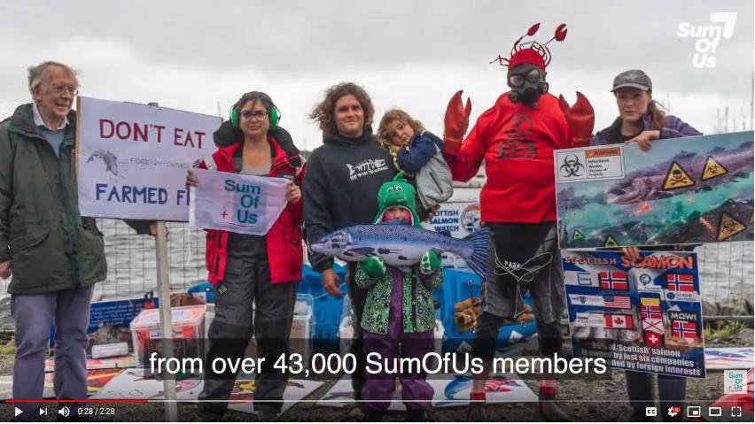 SumOfUs video 43 000 photo