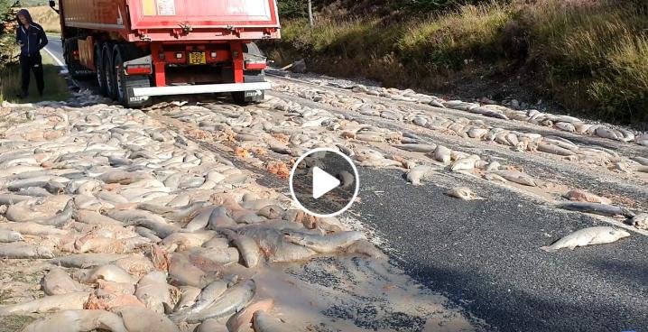 William Haughton Facebook video #3 William Haughton Facebook video #3