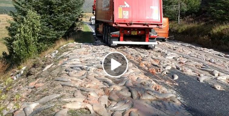 William Haughton Facebook video #6 William Haughton Facebook video #6