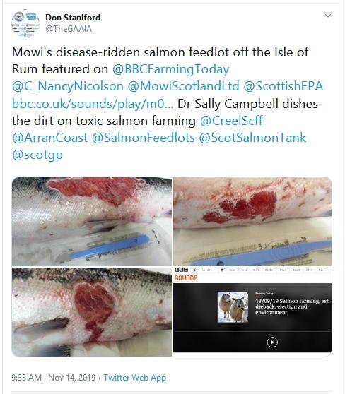 SW Morts up to Oct 2019 Rum BBC SW Morts up to Oct 2019 Rum BBC