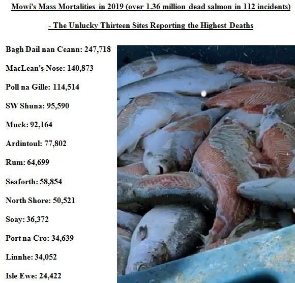 SW Morts up to Oct 2019 Mowi summary table SW Morts up to Oct 2019 Mowi summary table