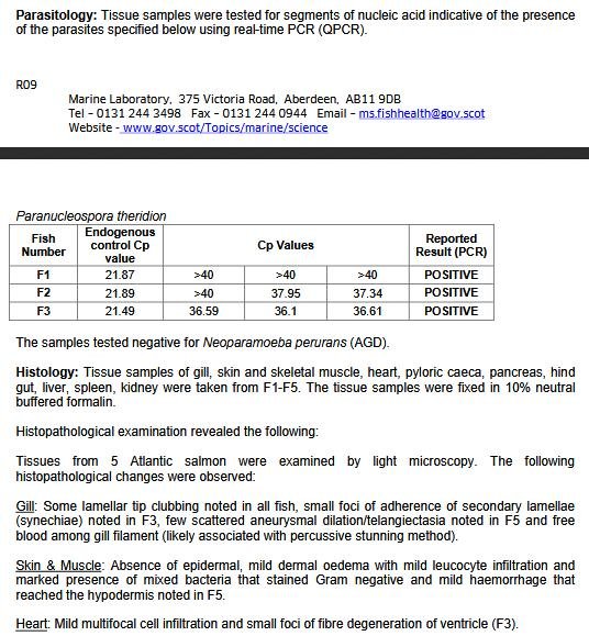 FHI April 2019 Kingairloch #9 FHI April 2019 Kingairloch #9