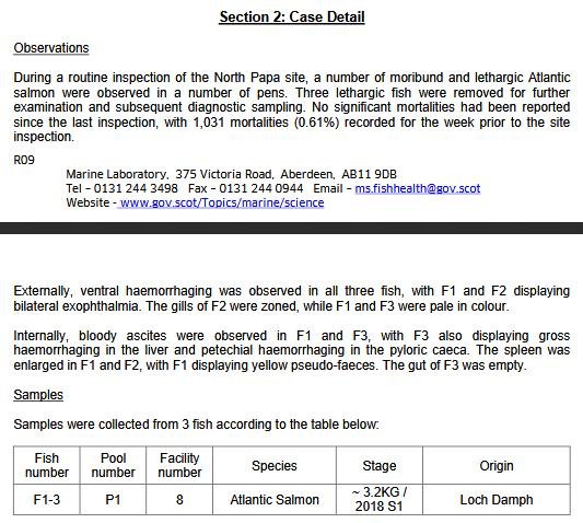 FHI March 2019 North Papa #7