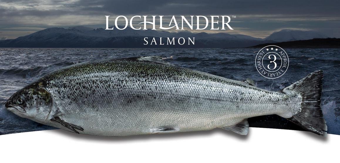 Lochlander