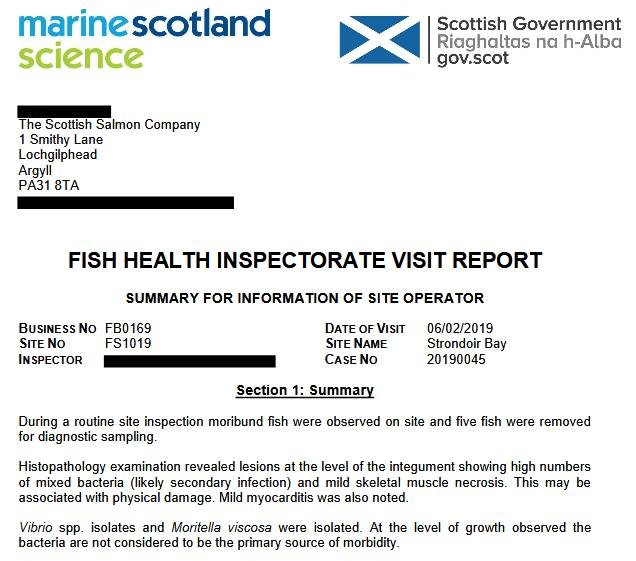 FHI Case Information Strondoir Bay Feb 2019 #7