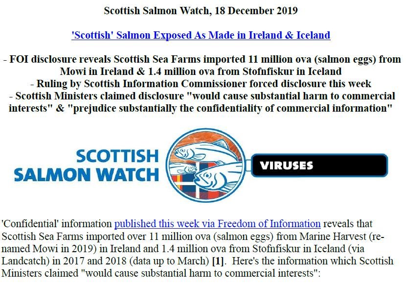 PR Scottish Salmon Exposed Mowi Ireland & Stofnfiskur 18 Dec 2019 #1 PR Scottish Salmon Exposed Mowi Ireland & Stofnfiskur 18 Dec 2019 #1