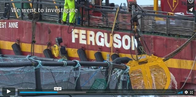 David Ainsley Vimeo Sept 2019 #7 went to investigate Ferguson David Ainsley Vimeo Sept 2019 #7 went to investigate Ferguson