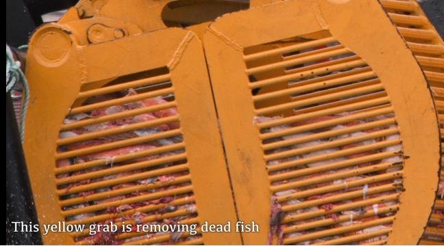 David Ainsley Vimeo Sept 2019 #1 mort grab David Ainsley Vimeo Sept 2019 #1 mort grab