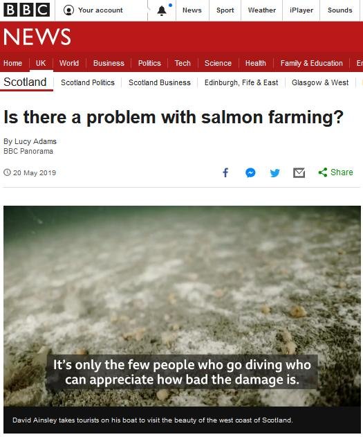 David Ainsley Panorama what's wrong video