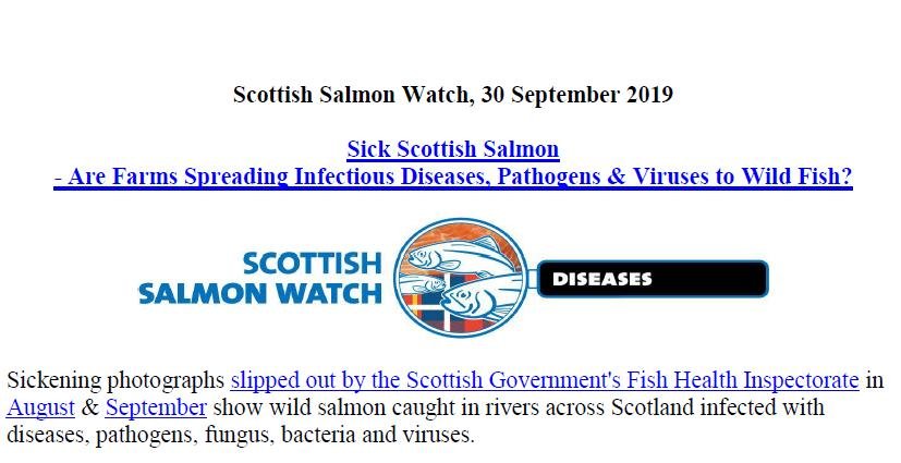 PR Sick Scottish Salmon 30 Sept 2019 #1