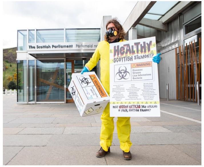 PR Sick Scottish Salmon 30 Sept 2019 #5