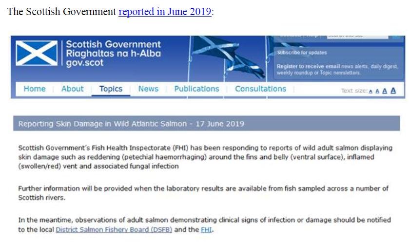 PR Sick Scottish Salmon 30 Sept 2019 #12 SG