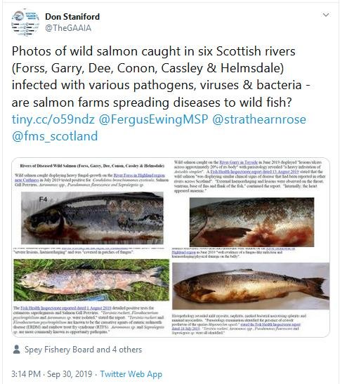 PR Sick Scottish Salmon 30 Sept 2019 Tweet