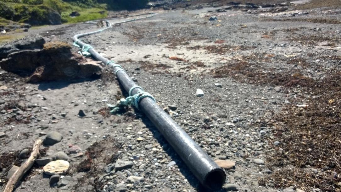 Photo #4 Mull Alec Cowe Photo #4 Mull Alec Cowe