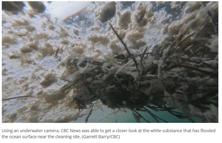 CBC pink liquid Oct 2 2019 #6