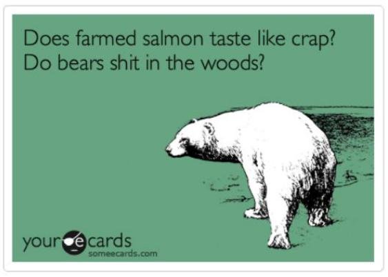 Bear blog #16 shit in woods ecard