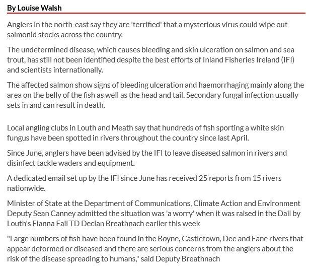 Ireland Breaking News 4 Oct 2019 #2