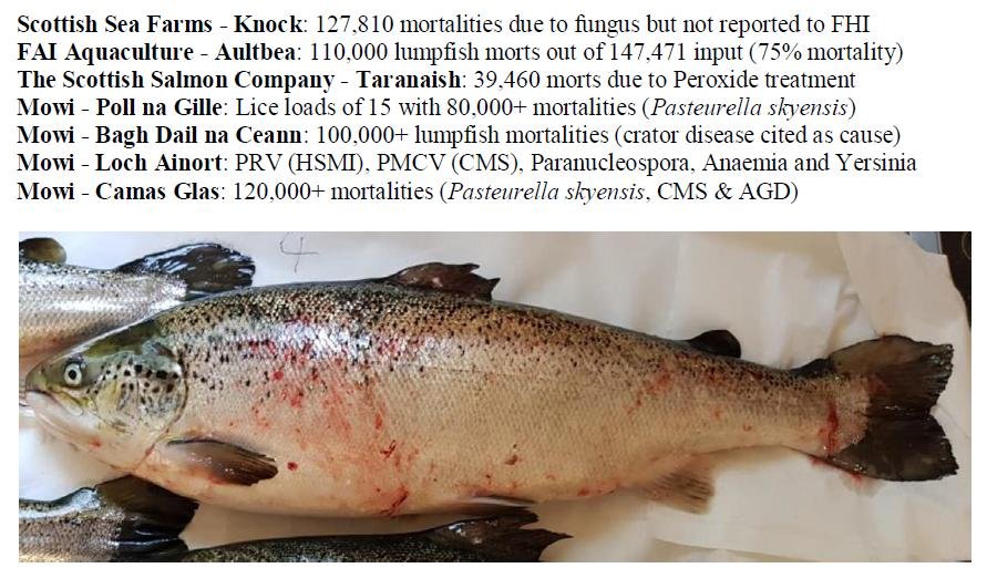 PR The Case Against Scottish Salmon 6 Jan 2020 #8 summary PR The Case Against Scottish Salmon 6 Jan 2020 #8 summary