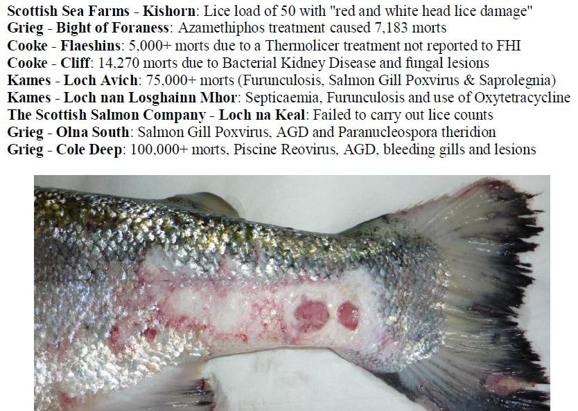 PR The Case Against Scottish Salmon 6 Jan 2020 #9 summary PR The Case Against Scottish Salmon 6 Jan 2020 #9 summary