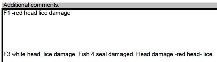 Kishorn blog Jan 2020 #3