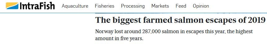 Intrafish worst #1 Intrafish worst #1