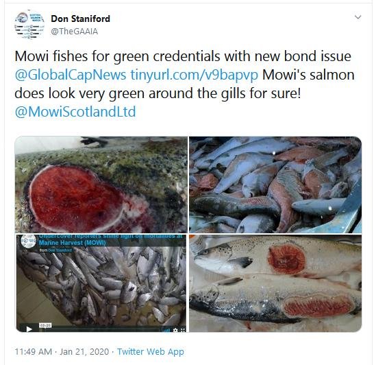 Tweet re Global Capital green bond 21 Jan 2020