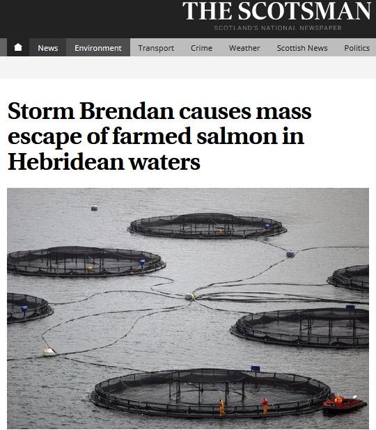 The Scotsman 21 Jan 2020 #1