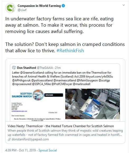 Thermolicer Tweet by CIWF 11 Oct 2019