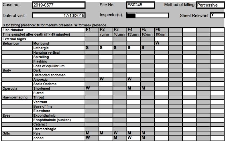 Ardintoul FHI 17 Oct 2019 #6