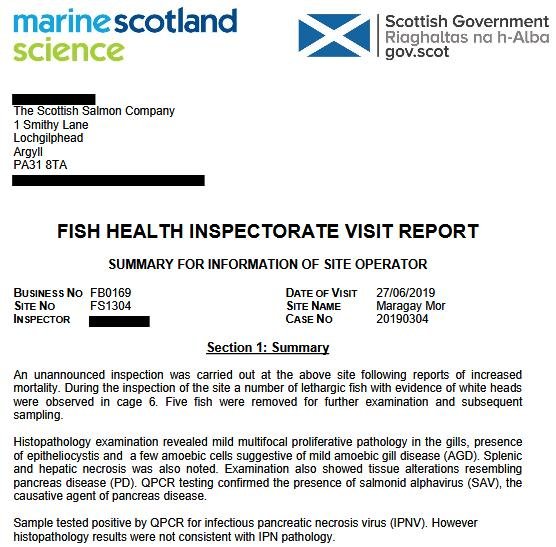 FHI Maragay Mor June 2019 #10