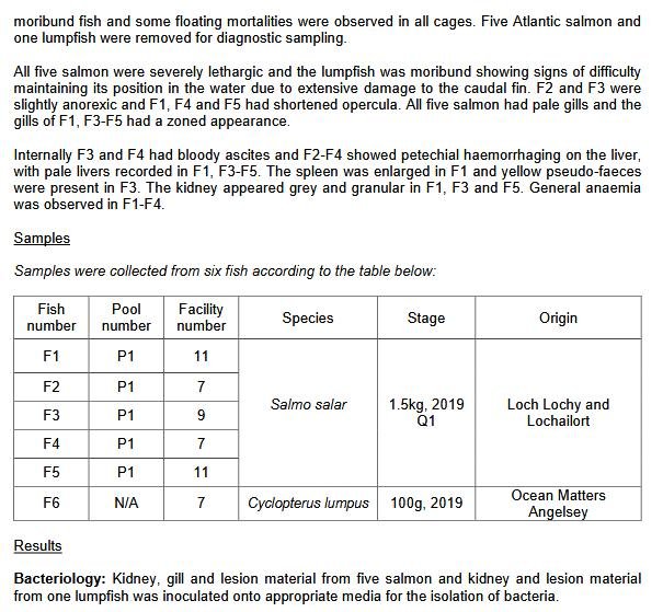 Ardintoul FHI 17 Oct 2019 #11