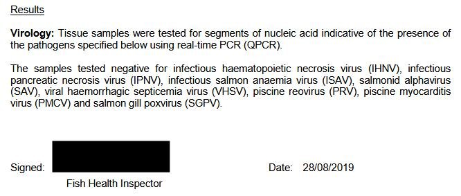 River Nith fish July 2019 #7