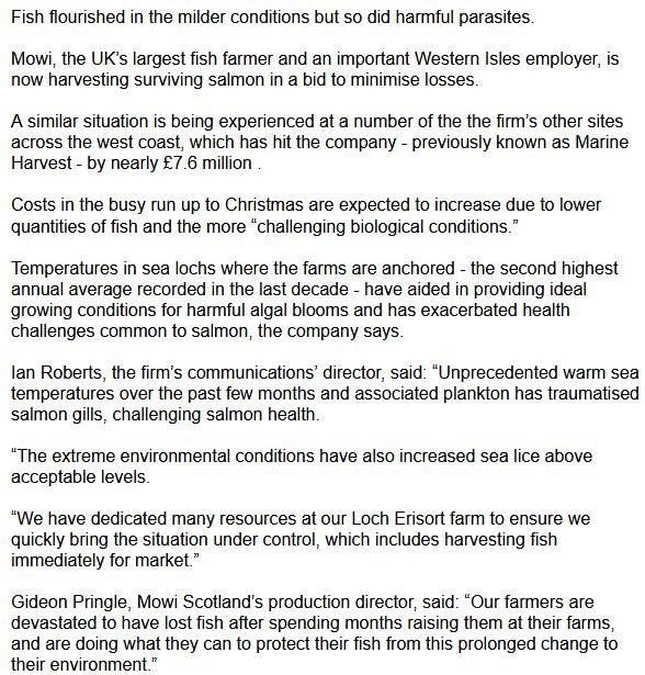 Tabhaigh Hebrides losses Nov 2019 #2