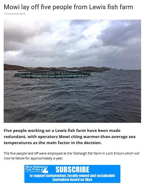 Tabhaigh WHFP job losses Dec 2019