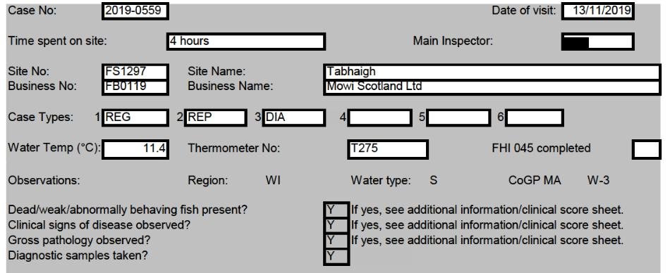 Tabhaigh FHI 13 Nov 2019 #1
