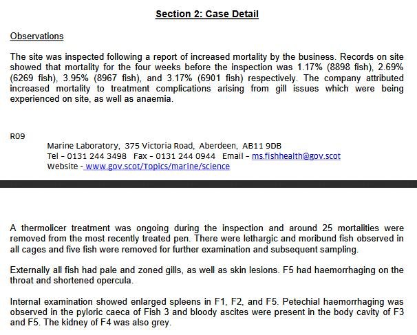 Tabhaigh FHI 13 Nov 2019 #9