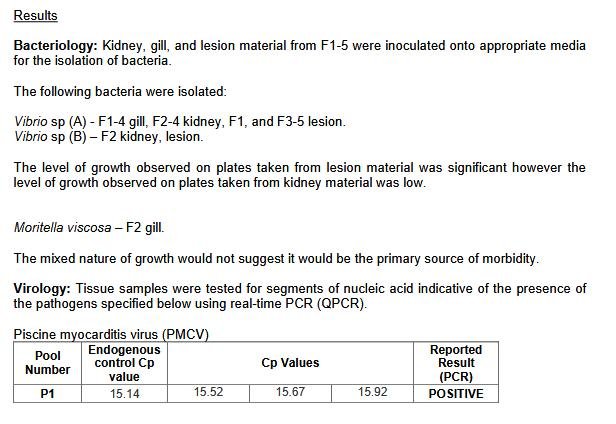 Tabhaigh FHI 13 Nov 2019 #10