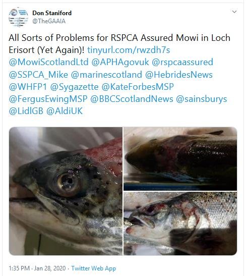 Erisort Tweet 28 Jan 2020 Erisort Tweet 28 Jan 2020