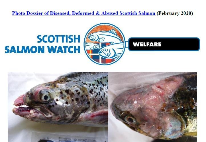 Photo Dossier of FHI Case Information Feb 2020 #1 Photo Dossier of FHI Case Information Feb 2020 #1