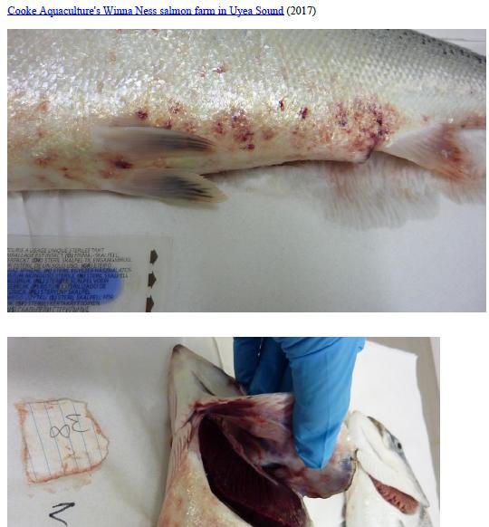 Photo Dossier of FHI Case Information Feb 2020 #26 Cooke Winna Ness