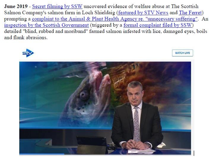 Welfare of Salmon Farming Summary Feb 2020 #9 Welfare of Salmon Farming Summary Feb 2020 #9