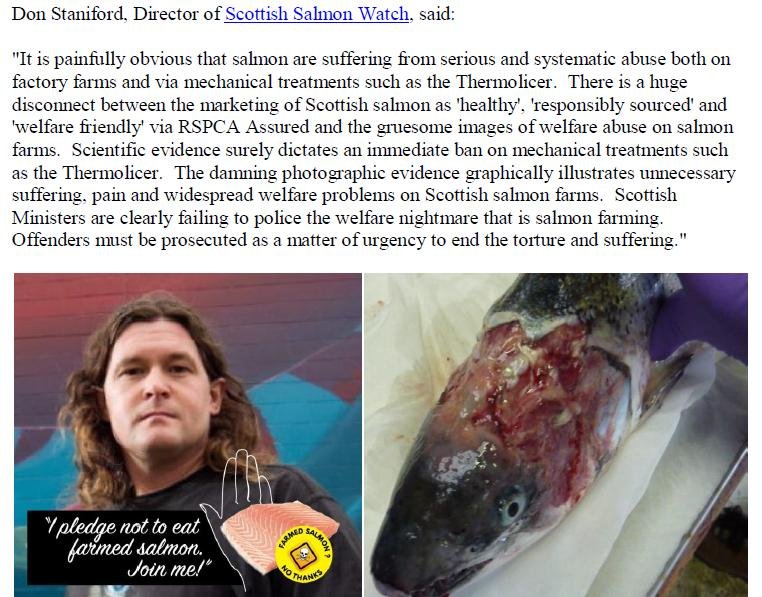 PR Welfare Abuse on Scottish Salmon Farms 2 Feb 2020 #10