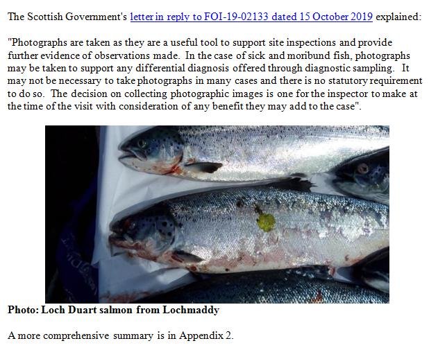 PR Exposed Photos 24 October 2019 #12 PR Exposed Photos 24 October 2019 #12