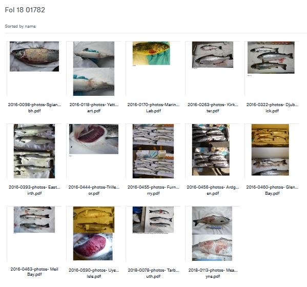 Dropbox #5 Dropbox #5