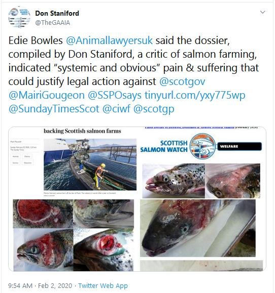Sunday Times Scientist hits out RSPCA 2 Feb 2020 Tweet #3 Photo dossier & Edie's quote Sunday Times Scientist hits out RSPCA 2 Feb 2020 Tweet #3 Photo dossier & Edie's quote