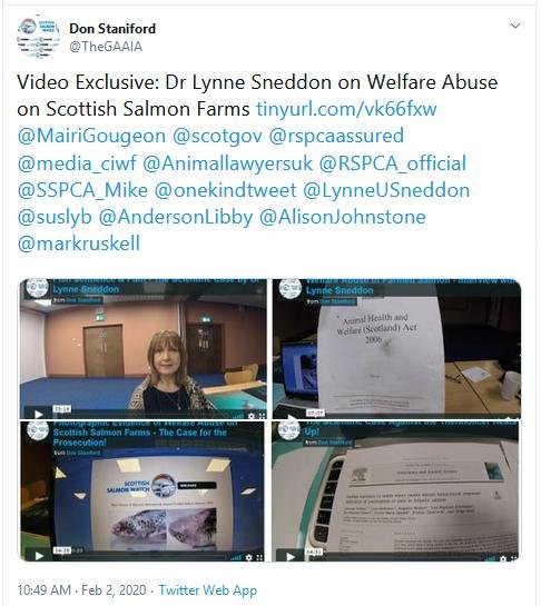 Lynne Sneddon video Tweet 2 Feb 2020