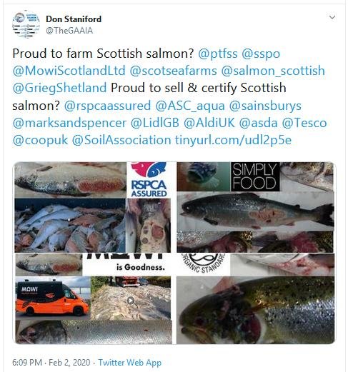 The Faces of Scottish Salmon Feb 2020 Tweet 2 Feb 2020 #2