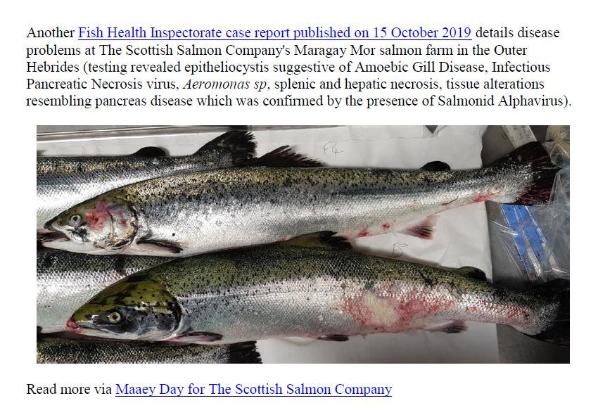 PR Exposed Photos 24 October 2019 # Marangay Mor re-do PR Exposed Photos 24 October 2019 # Marangay Mor re-do